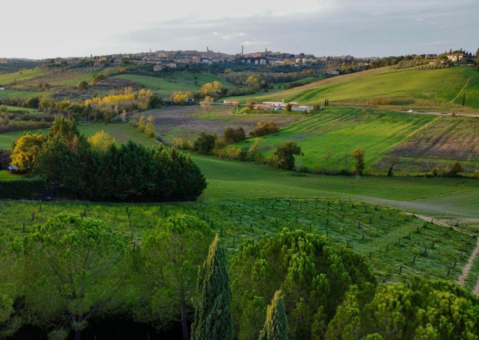 Agriturismo La Terrazza Sul Mangia Siena Exteriör bild