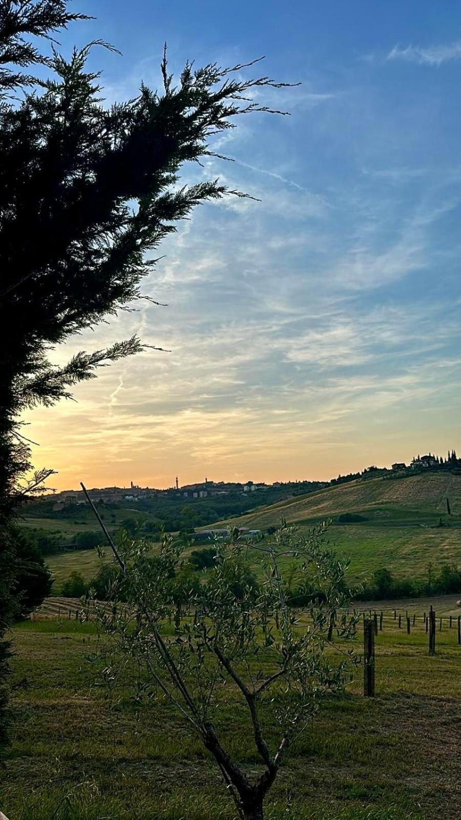 Agriturismo La Terrazza Sul Mangia Siena Exteriör bild